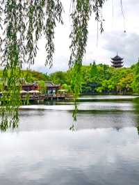 五一好去處|暮春棠湖映雲影,也無風雨也無晴