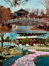 女皇后花園-九洲池