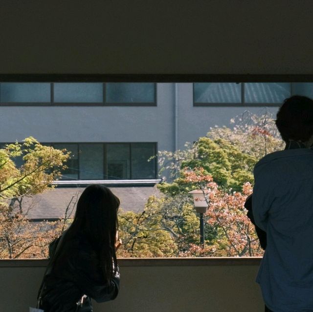 📸橫屏視角下的關西浪漫｜富士直出每一幀都是大片！ 