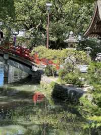 日本九州點樣玩？當然係浸溫泉食A5和牛啦！