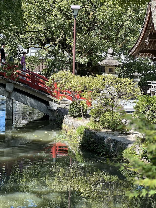 日本九州點樣玩？當然係浸溫泉食A5和牛啦！