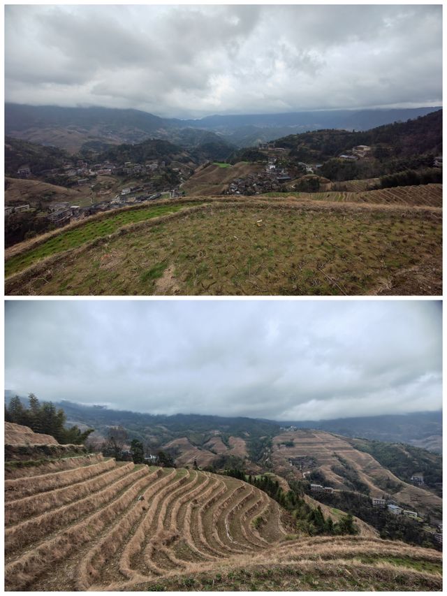 桂之旅丨龍勝龍脊梯田a