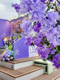 5.1喺昆明一定要影嘅藍花楹