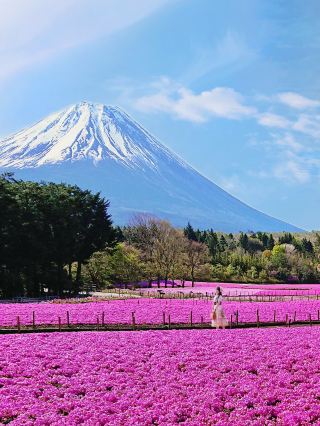 Avoid the crowds! These spots offer equally stunning photos of Mount Fuji.