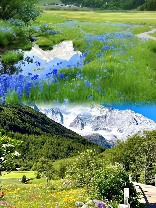 雪山同草原打交，你撐邊個？"