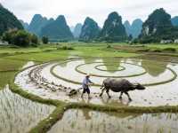 貴州秘境暴走指南：資深旅者私藏嘅7個上帝視角打卡地