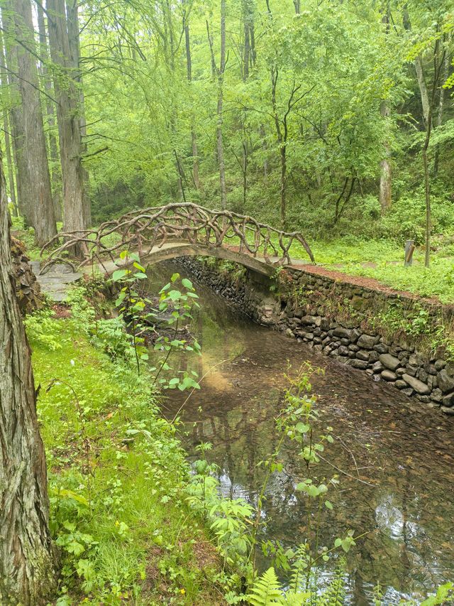 夏季炎熱推薦漢中一些避暑勝地：   - 黎坪國家森林公園：位於南鄭區黎坪鎮，夏季平均氣溫22℃左右。