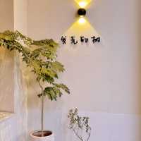 在公園邊上喝咖啡·發光的樹