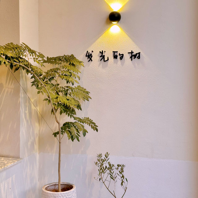 在公園邊上喝咖啡·發光的樹