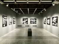 Uncover Taipei’s Best-Kept Photography Secret!