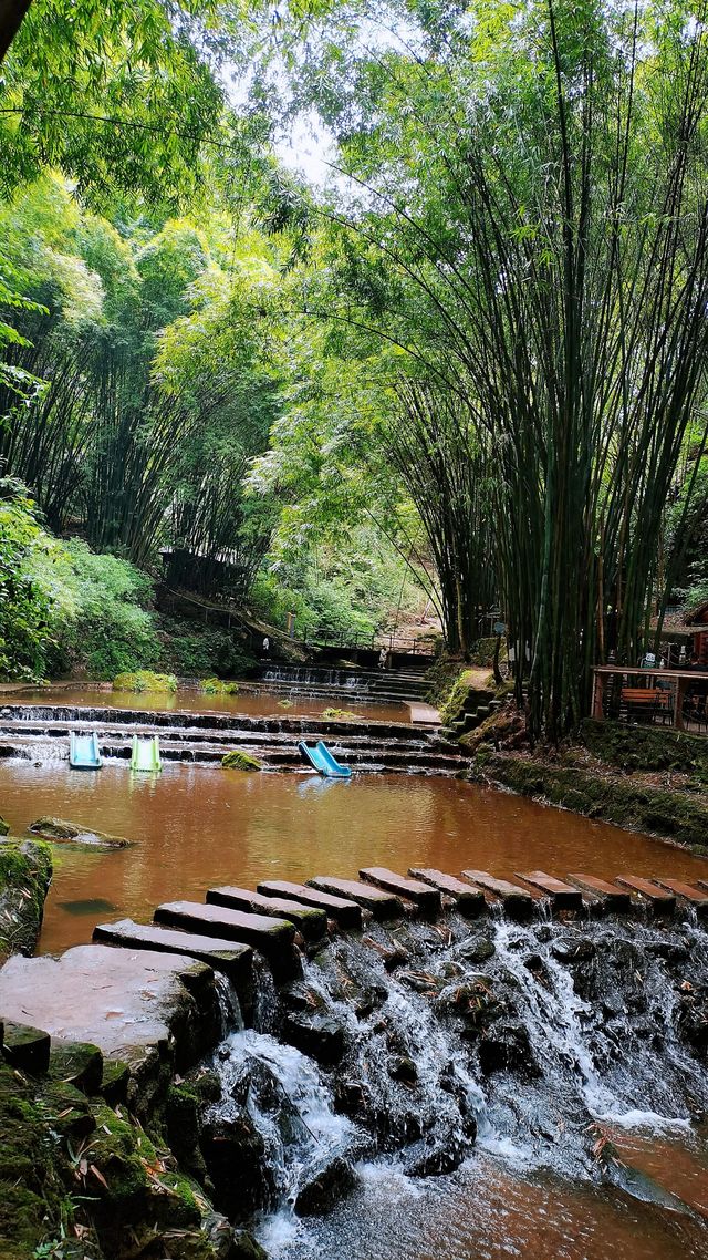 川西竹海|25℃綠意秘境清涼之旅全指南