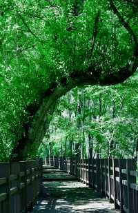 隱藏喺北京嘅小「九寨溝」！初夏避暑遊玩好去處！攻略已出