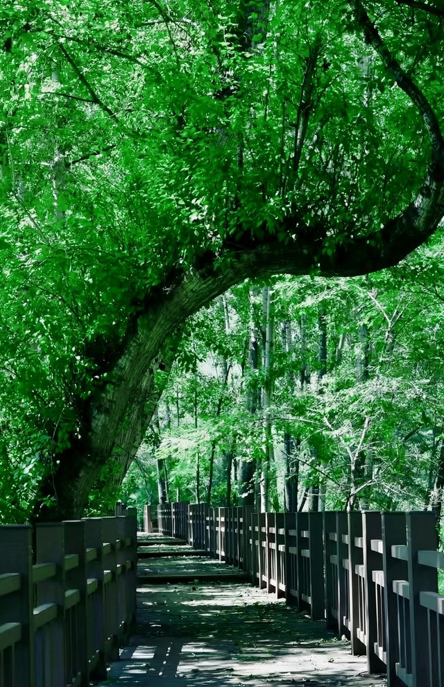 隱藏喺北京嘅小「九寨溝」！初夏避暑遊玩好去處！攻略已出