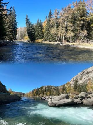 【코코토하이: 양치기의 눈물! 신종산×에르치스강】