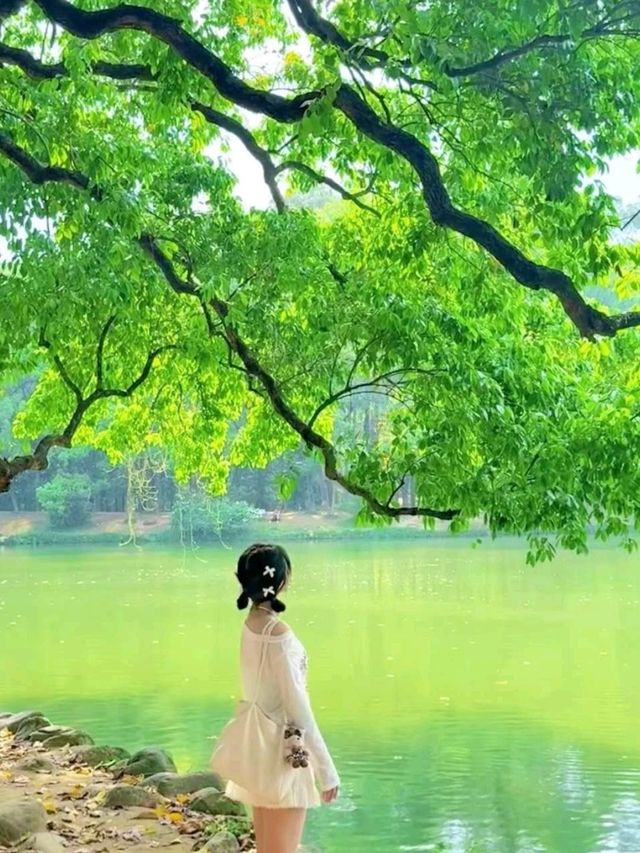 South China Botanical Garden truly Stunning😍