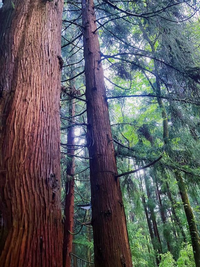 熟悉嘅地方冇風景 行出一步 全部係風景