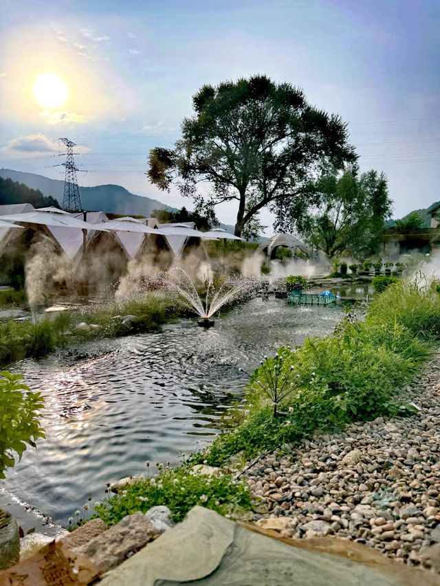 本溪院裡樹下露營|瀋陽後花園嘅吸氧之旅