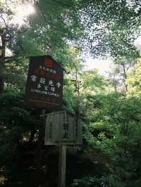 🌿【京都·常寂光寺】— 隱世古寺中的禪意漫遊 🌿