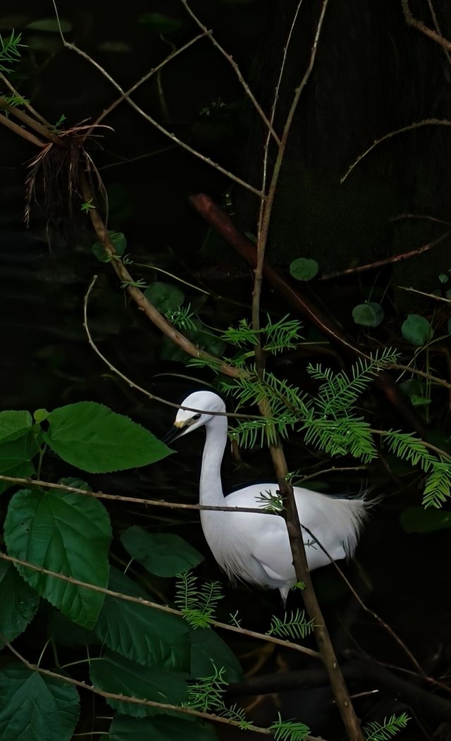 青山湖一日遊•
