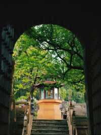 入住昆明翠湖麗瑞德酒店打卡周邊景點遊，金殿