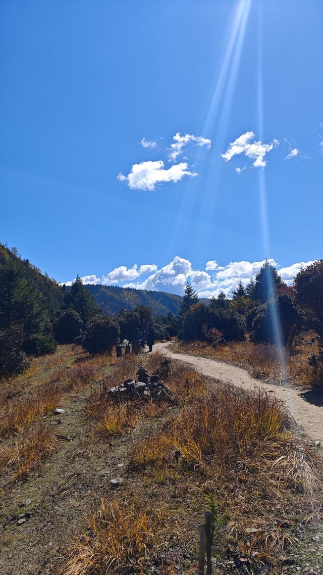 闖入雲端秘境！普達措森林公國生存指南