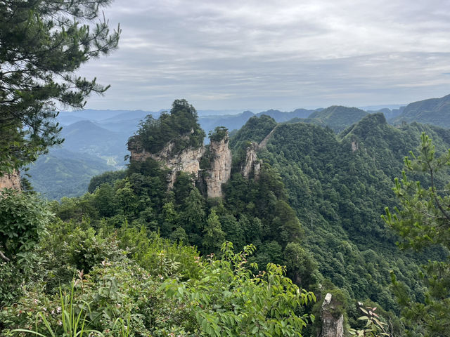 Magical 4 days in Zhangjiajie Park 