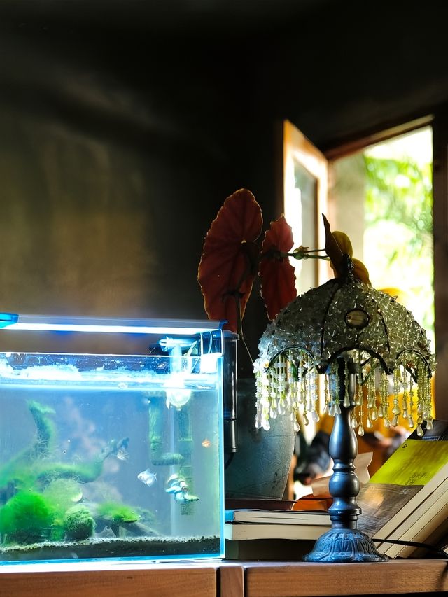 南寧氛圍感餐廳 ｜ 蝸牛舍