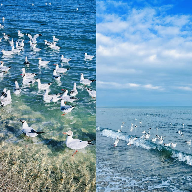 青海湖終極攻略：360°環湖秘境、天空之鏡拍照指南