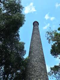 真係睇唔出呢個森林式產業園，以前竟然係間陶瓷廠