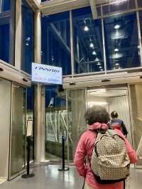 ヘルシンキ・ヴァンター国際空港