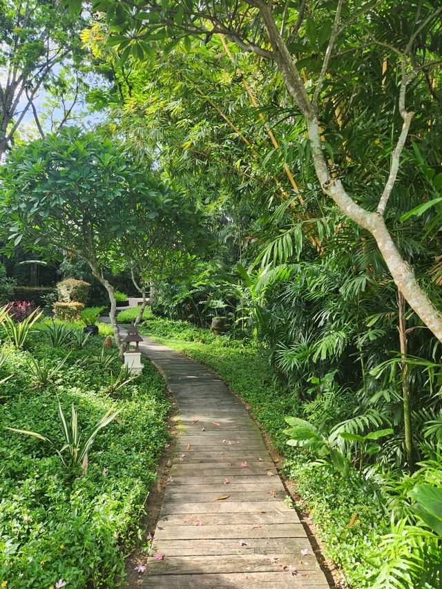 清邁嘅綠色天堂四季度假村