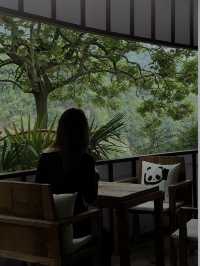 入住山水畫民宿嘅24小時｜重慶版｜