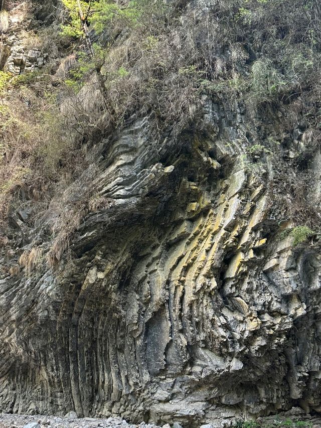 適合六七月份遊玩地，廣東珠海，長隆海洋王國