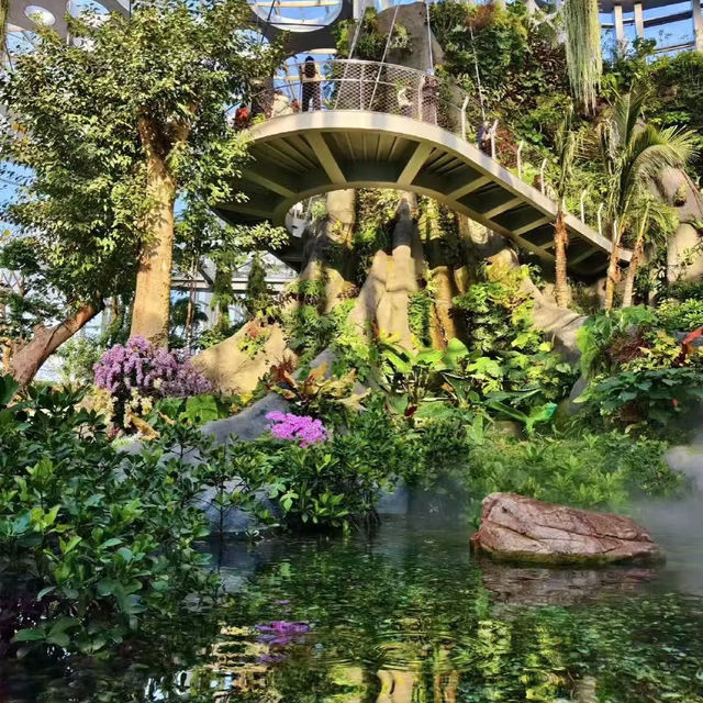 魔都綠野仙蹤｜亞洲最大溫室花園全攻略（含隱藏玩法）