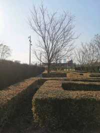 Shanghai World Expo Cultural Park | A Relaxing Weekend Getaway 🌿