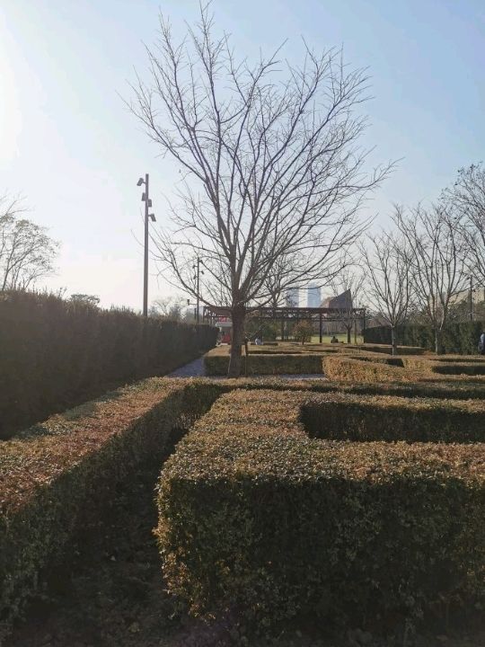 Shanghai World Expo Cultural Park | A Relaxing Weekend Getaway 🌿