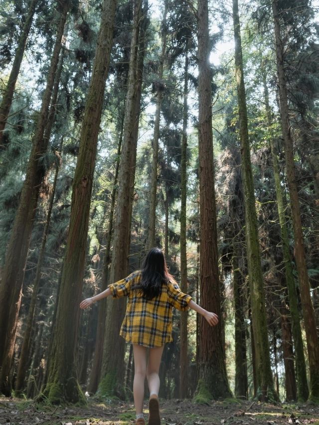 貴陽1小時直達！闖入現實版綠野仙蹤