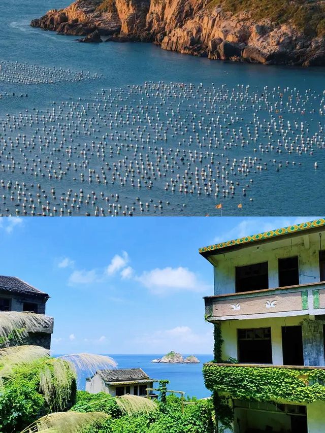 枸杞島好識玩！上海周邊避暑，夏日玩水超開心