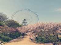 大阪天保山絕美海景一日遊！親子必訪的療癒天堂】**  