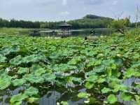 去咗4次禪意小鎮·拈花灣，終於玩到明！