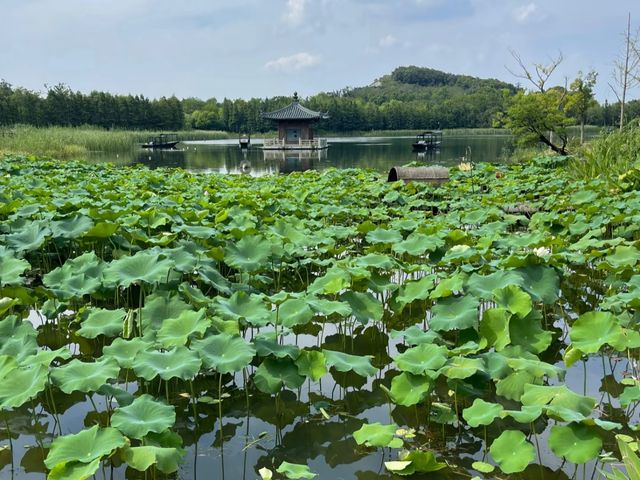 去咗4次禪意小鎮·拈花灣，終於玩到明！