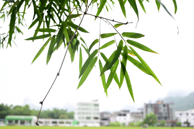雲霧山中起，仙境數十里！