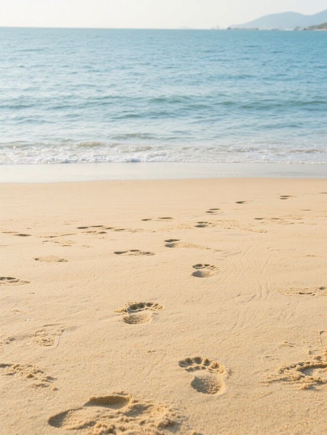 廈門睇海記 浪裏藏住甜