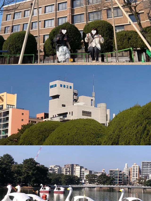 🚢第一次搭郵輪去福岡必看！5天4夜懶人度假攻略✨