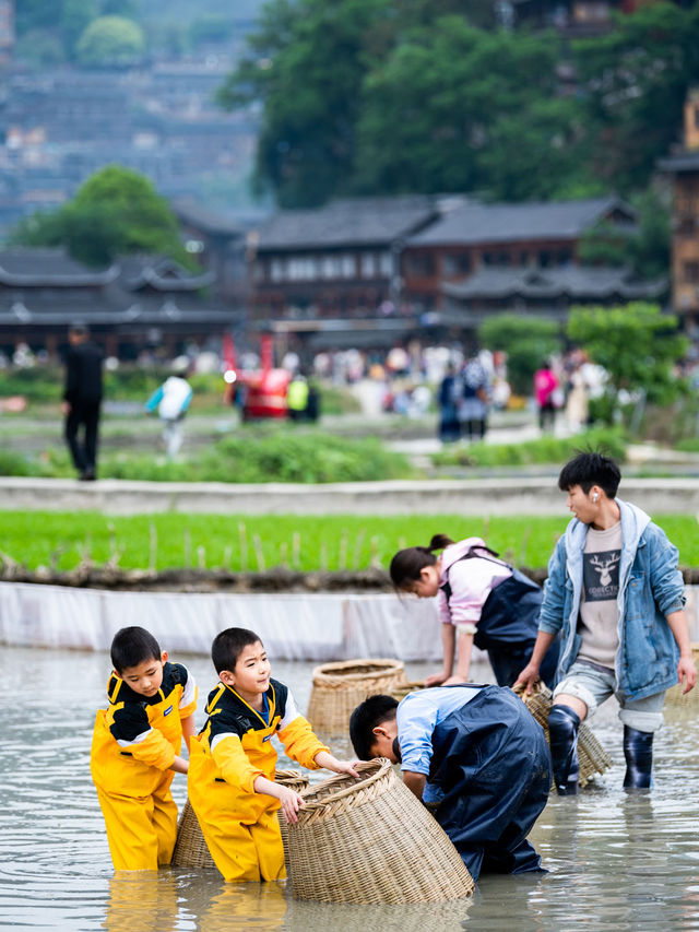 暑期必衝！貴州23℃親子遊，住避世景觀酒店