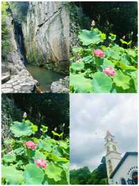 莫干山好正，但8月就唔建議去喇