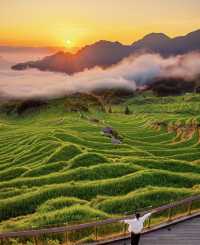 雲和梯田最美日出