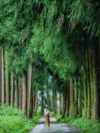 逃離成都40℃高溫！嚟呢度避暑行山玩水～