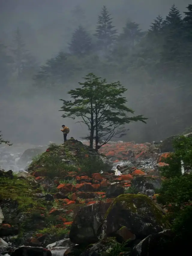 成都出發3.5小時車程就能get嘅秘境避暑勝地！