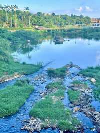 翠影繚繞・福州國家森林公園的森呼吸